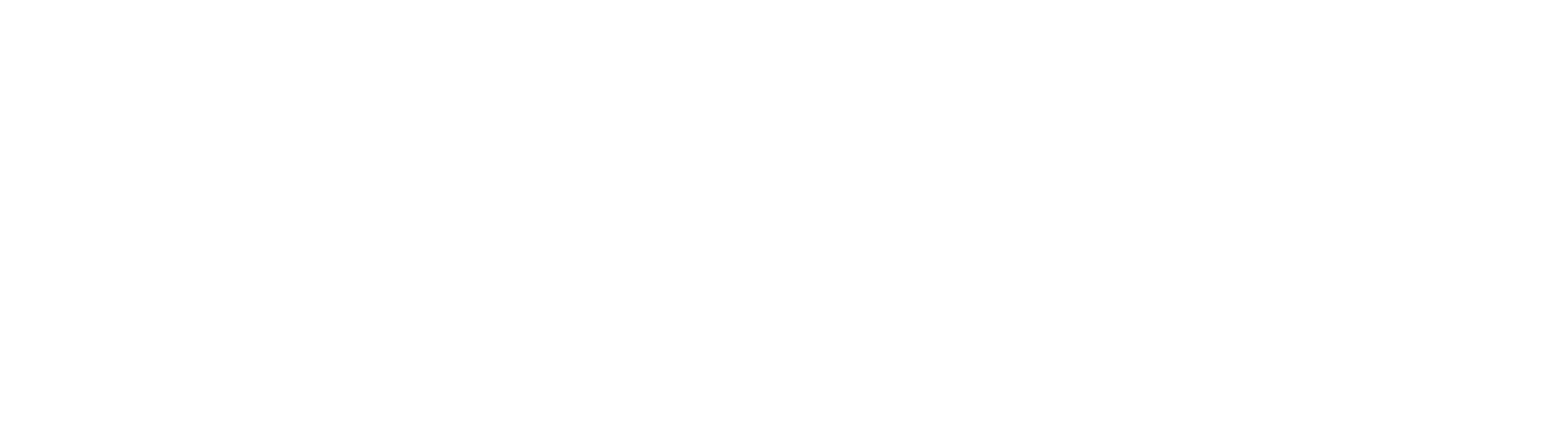 Registered Chiropractor logo