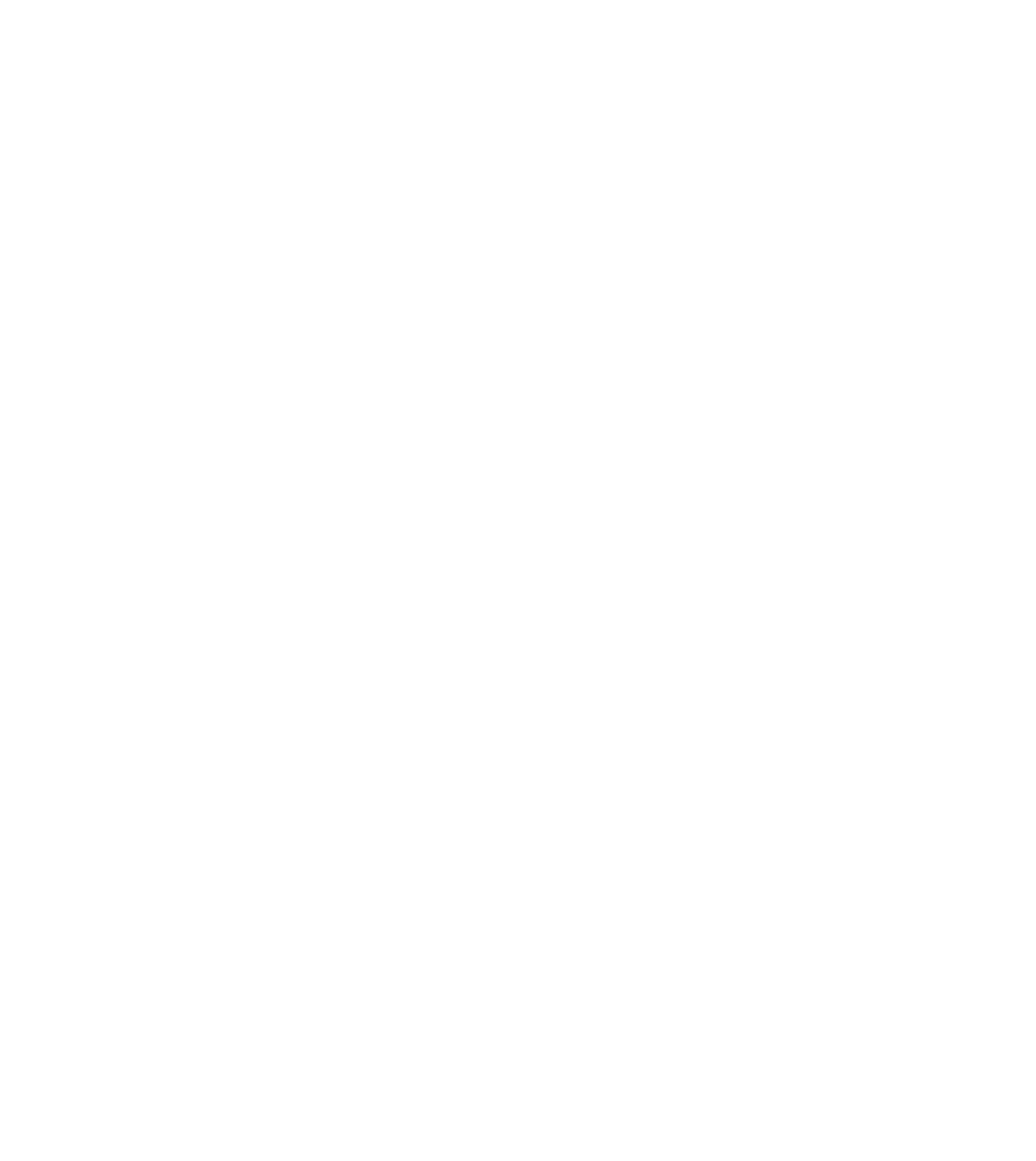 The Royal College of Chiropractors Logo